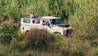  Nature Safari 